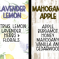 32 oz MOP SOAP CONCENTRATE