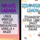 32 oz MOP SOAP CONCENTRATE