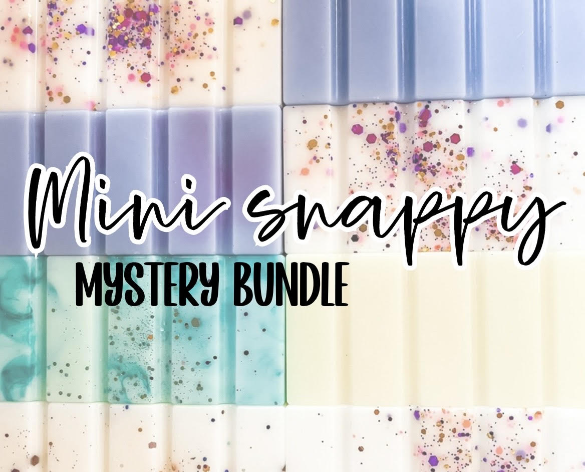 MINI SNAPPY MYSTERY BUNDLE