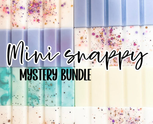 MINI SNAPPY MYSTERY BUNDLE